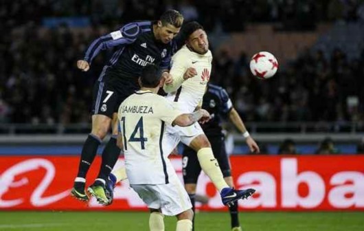 老鹰的较量 老鹰的较量